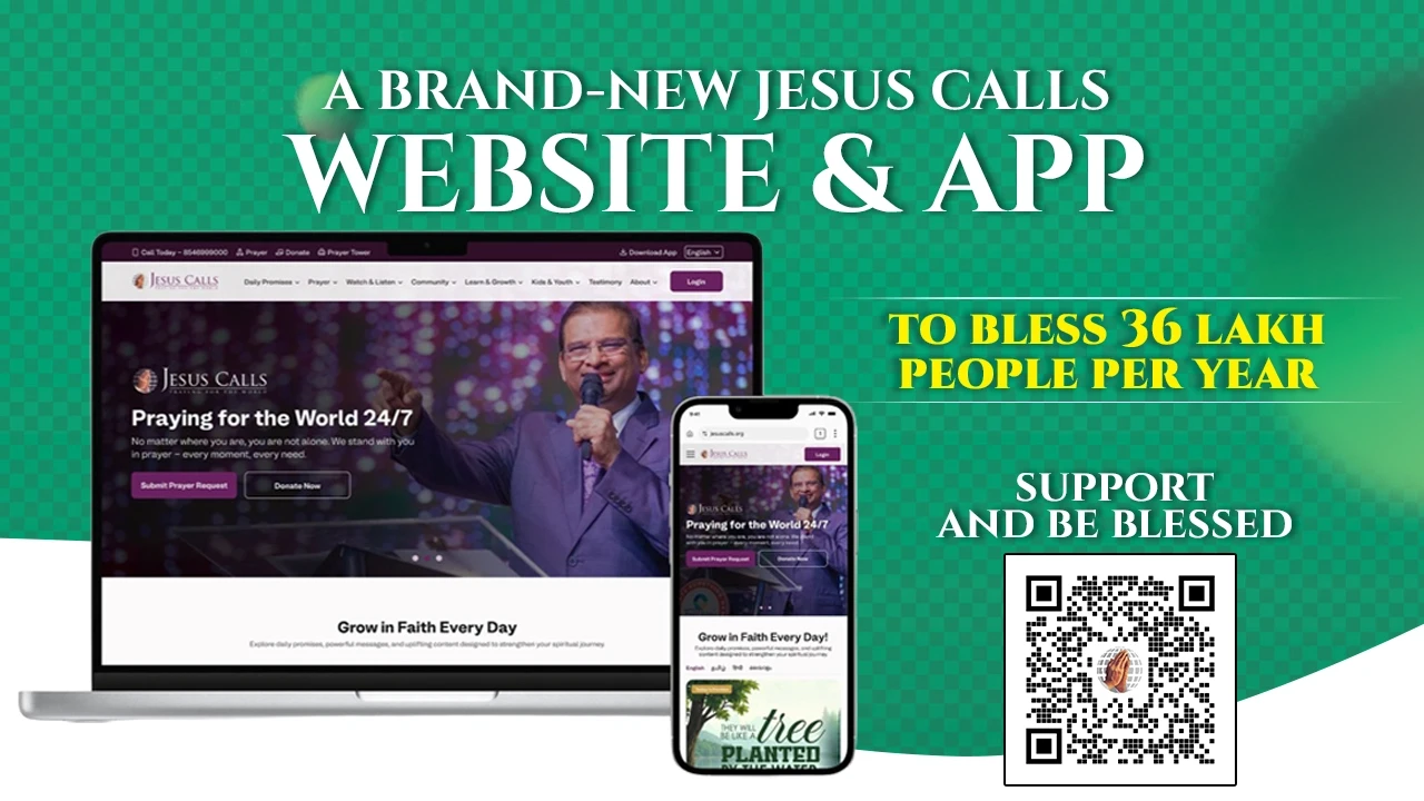 17802362611200.webp