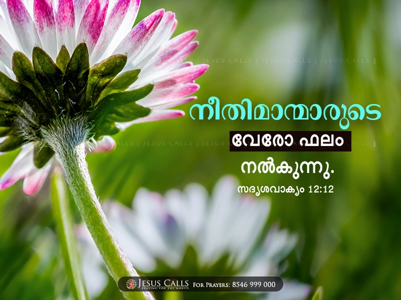 blessing-img