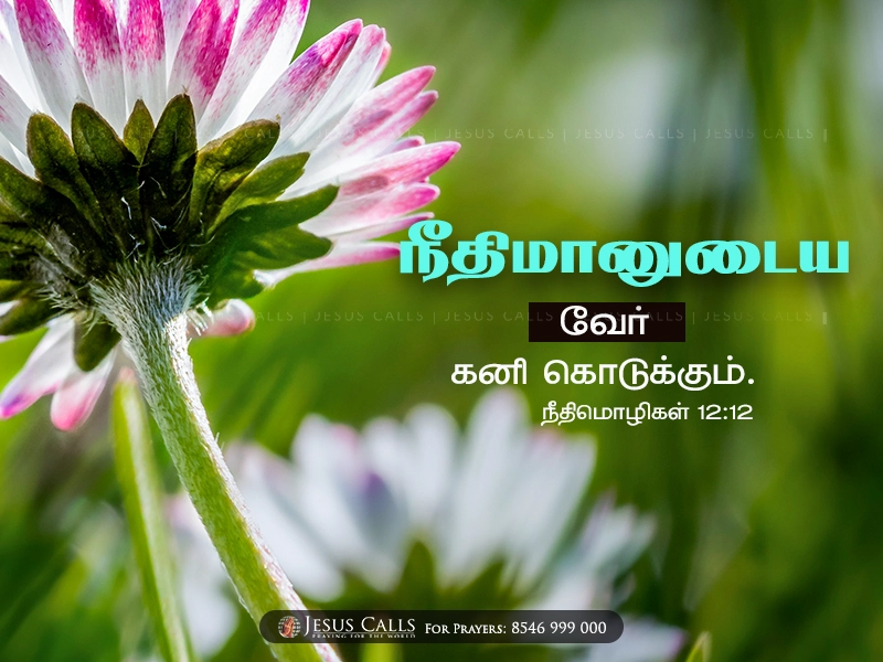 blessing-img
