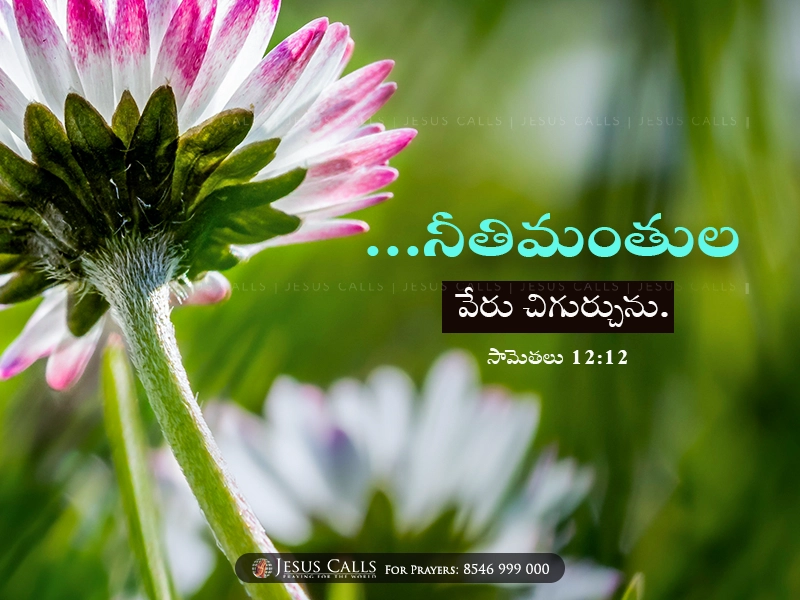 blessing-img