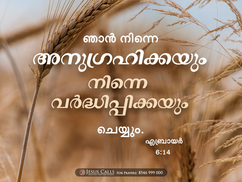 blessing-img
