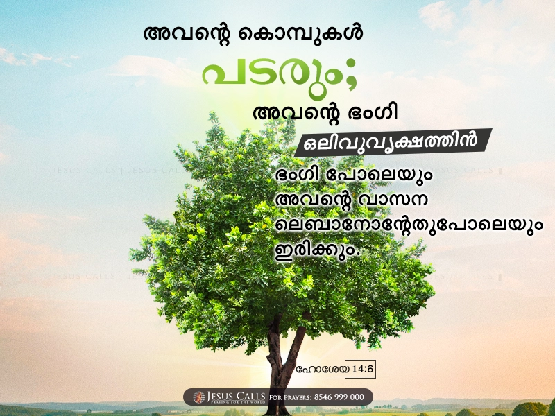 blessing-img