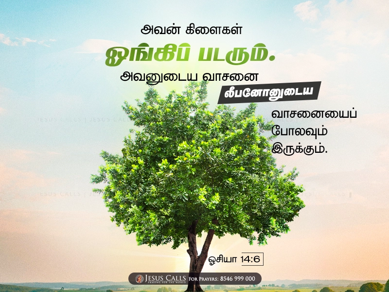 blessing-img