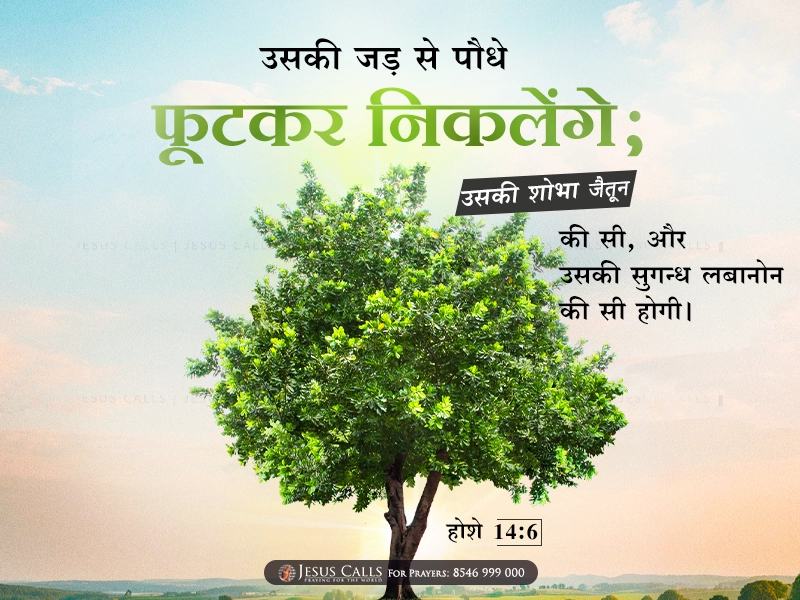 blessing-img