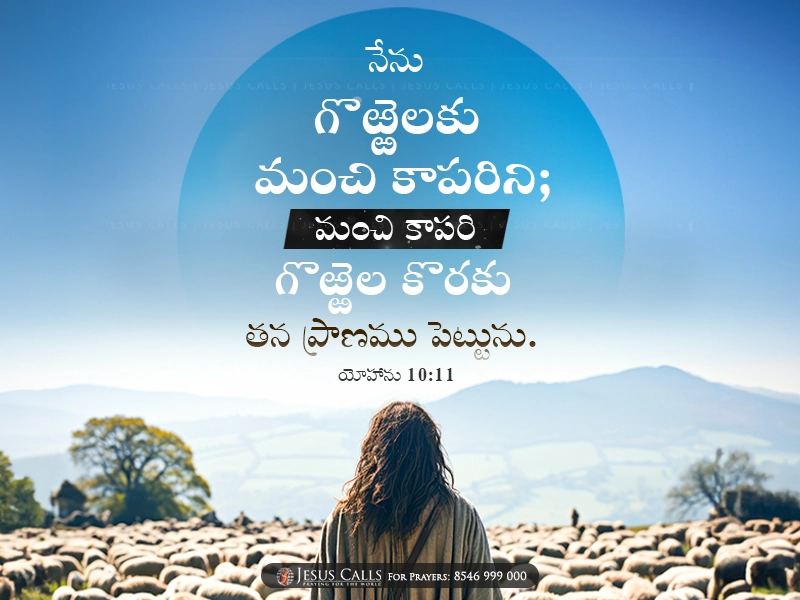 today-promise