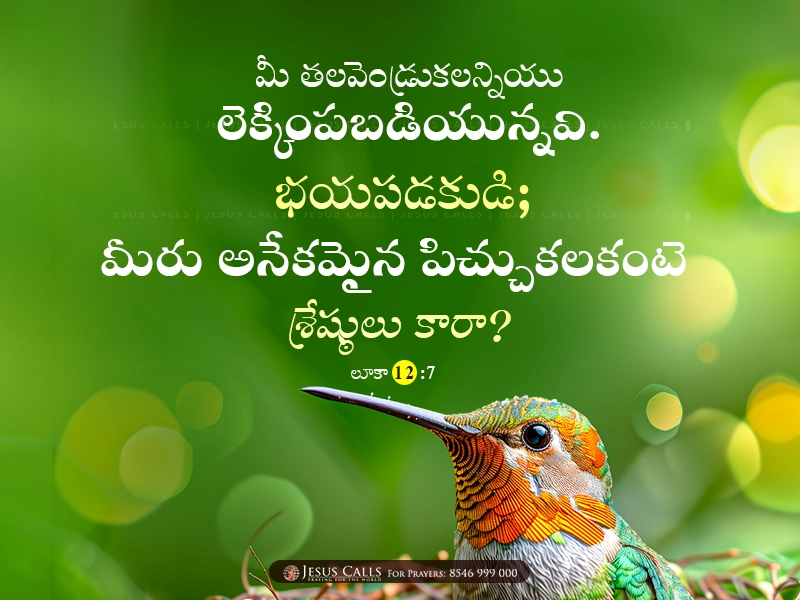 blessing-img
