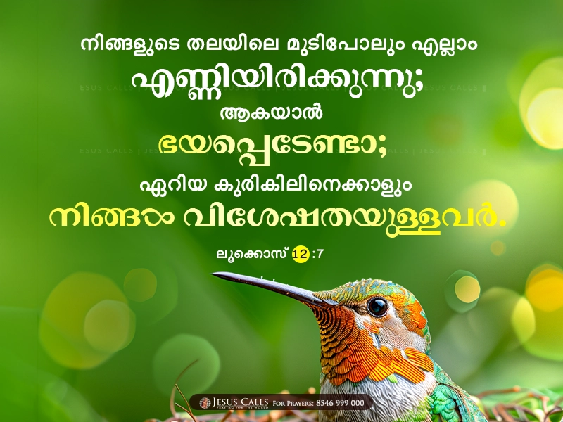 blessing-img