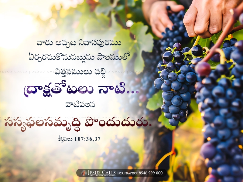 blessing-img