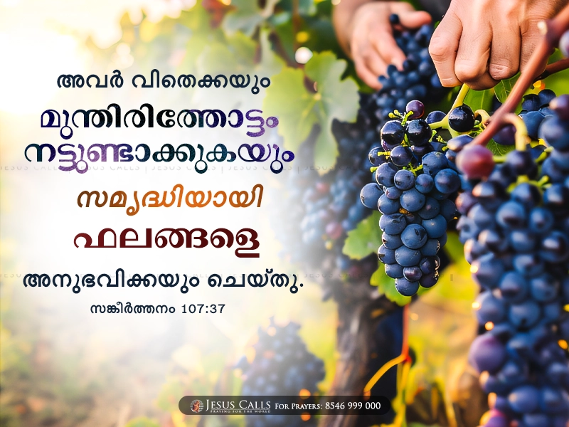 blessing-img