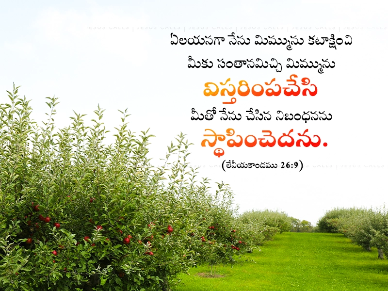 blessing-img