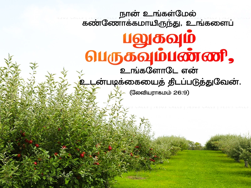 blessing-img